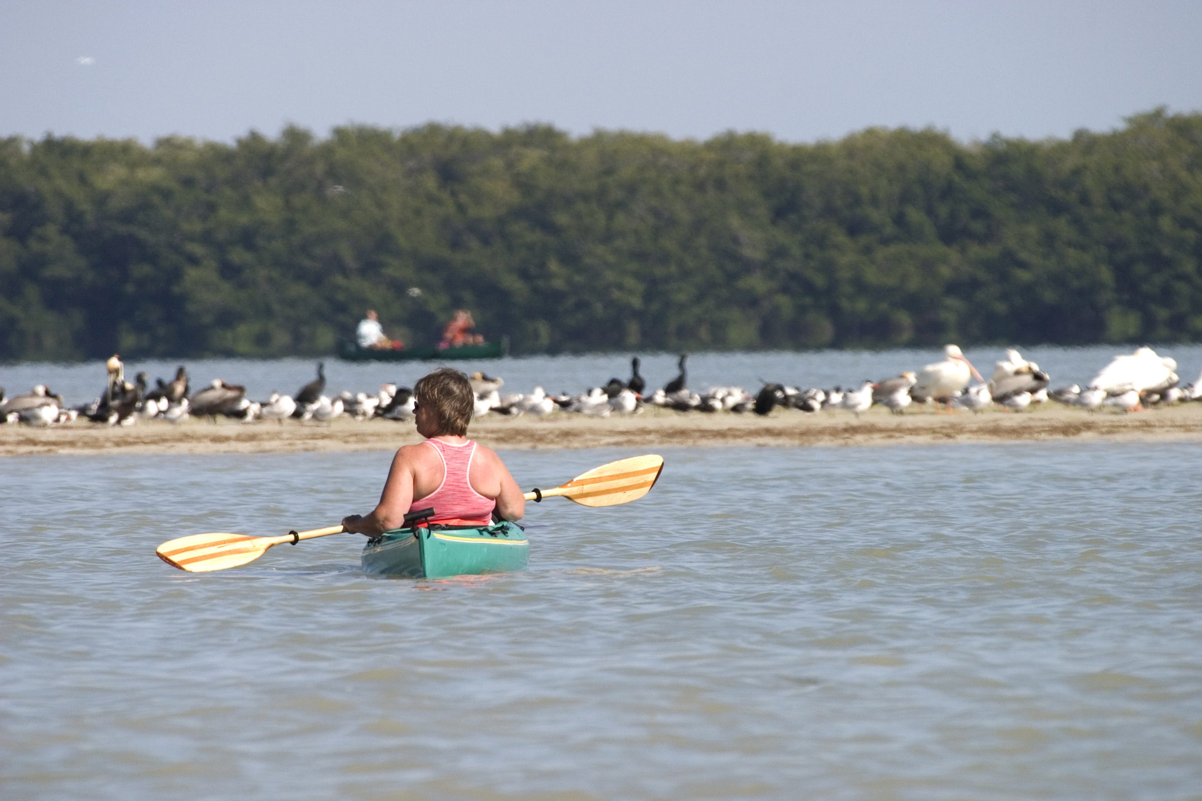 Two kayakers paddling across the calm, shallow waters of Florida Bay in Everglades National Park on a sunny day