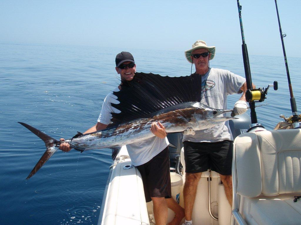 Atlantic sailfish (Istiophorus albicans) held by two anglers after being caught in Florida Atlantic waters, showing the elongated bill and characteristic large dorsal sail fin