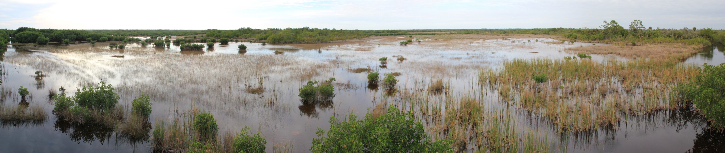 Kayakers paddling through the remote 10,000 Islands region of southwest Florida