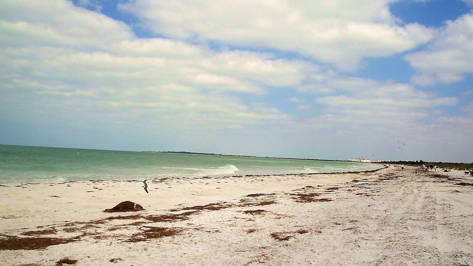 An empty white-sand Florida beach at golden hour with sea oats on the dunes and calm turquoise water