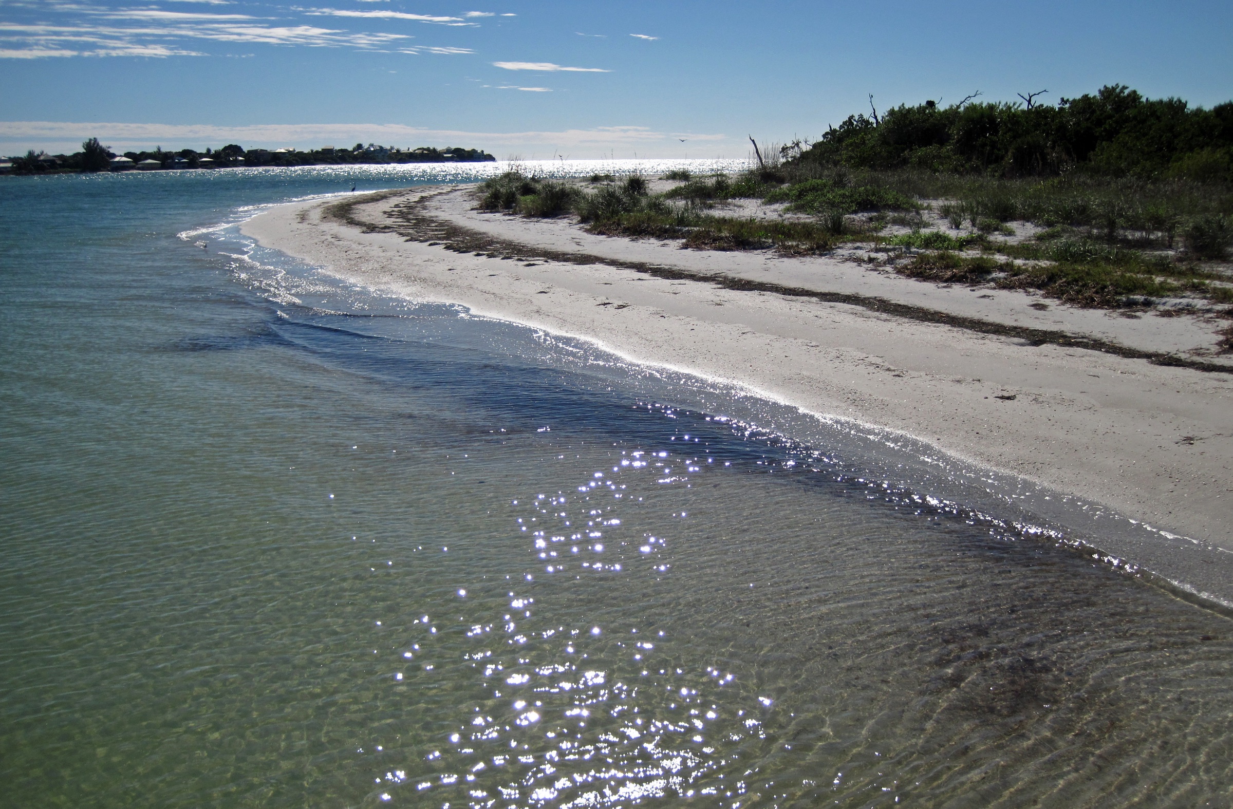 Pristine shell-strewn shoreline along Pine Island Sound on Cayo Costa Island, a roadless barrier island in southwest Florida