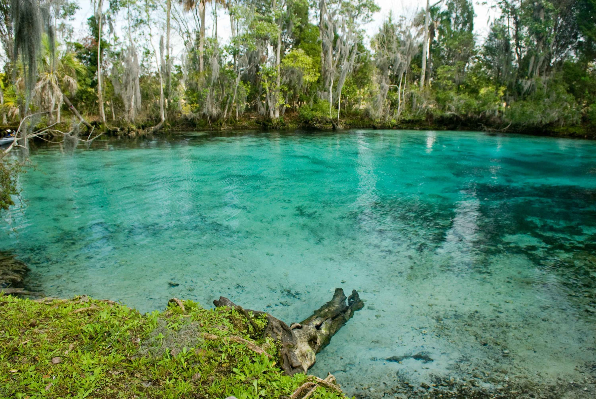 Crystal-clear spring-fed water at Three Sisters Springs near Crystal River National Wildlife Refuge, Florida, with sunlight filtering through the surface