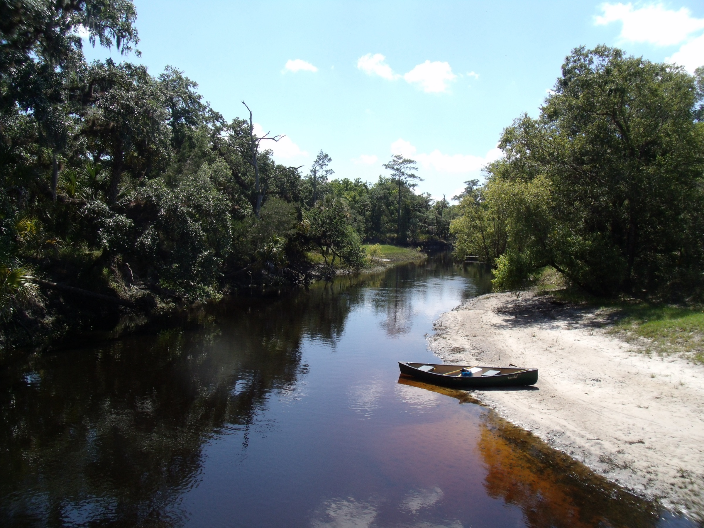 The Econlockhatchee River flowing through dense floodplain forest in Central Florida, viewed from the Florida Trail bridge — tannin-dark water reflects overhanging oaks and cypress
