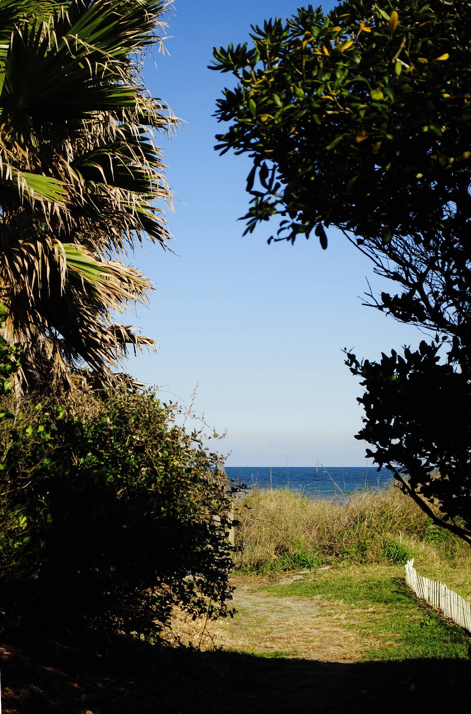 Sandy public beach access path flanked by palm trees leading to the Atlantic Ocean at Ponte Vedra Beach, Florida