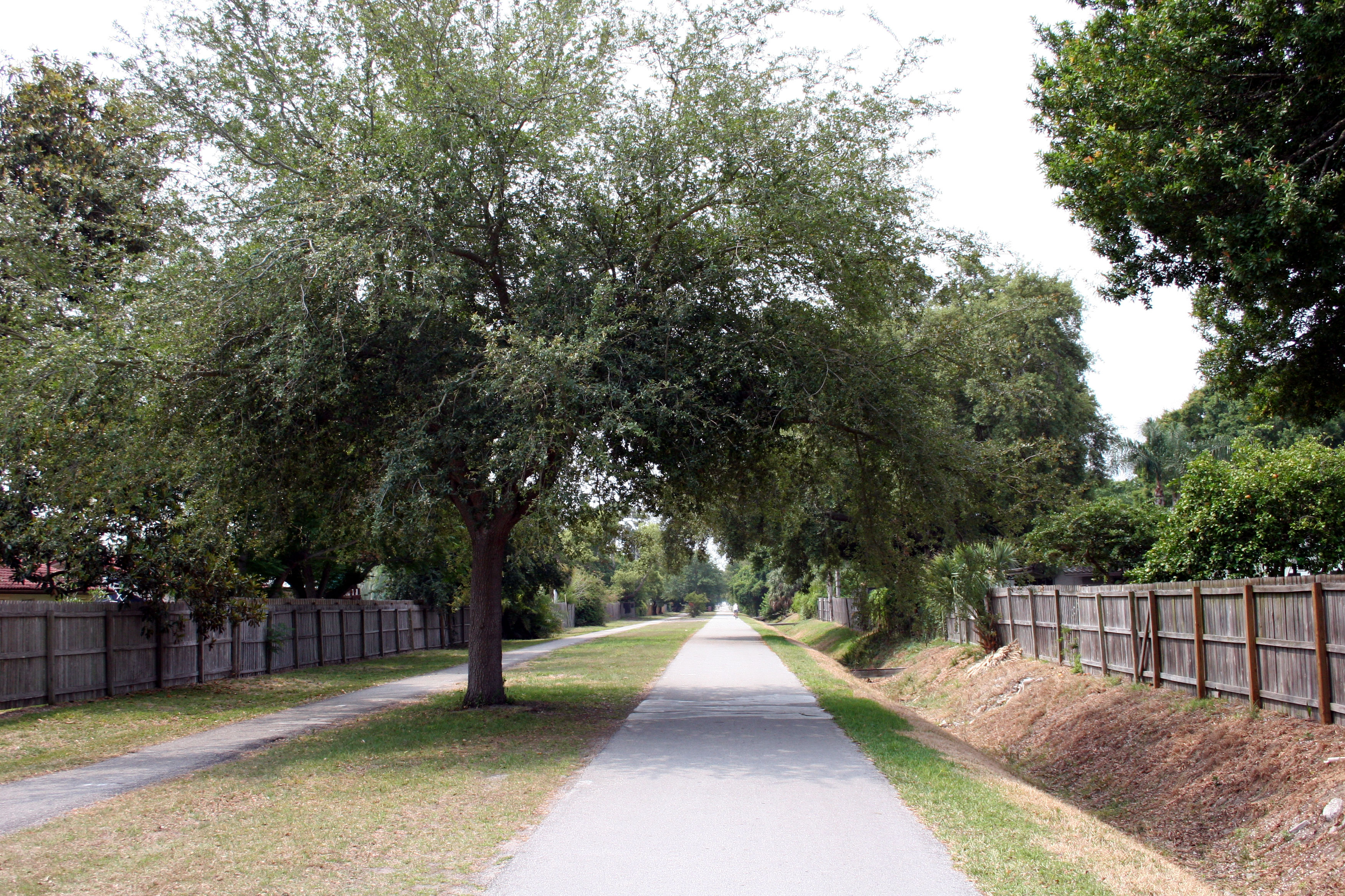 Paved Pinellas Trail rail-to-trail corridor curving through Florida pine and palmetto