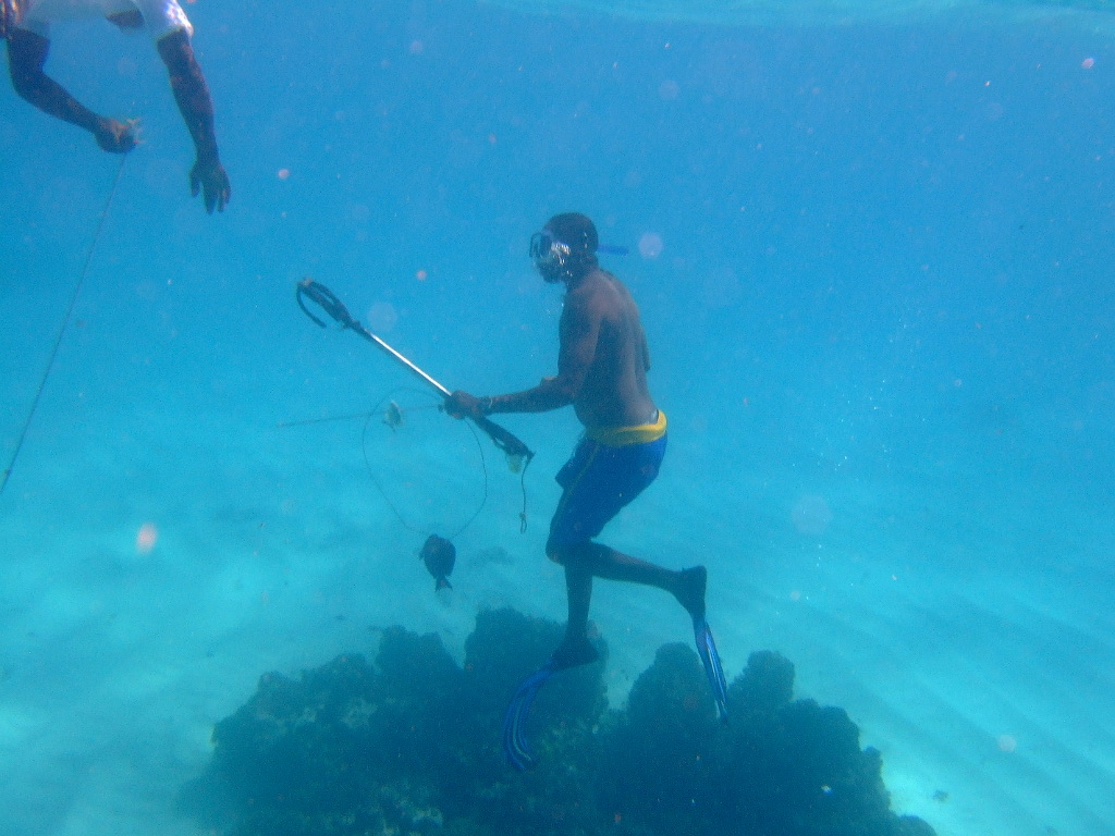 Two spearfishermen underwater during a diving expedition
