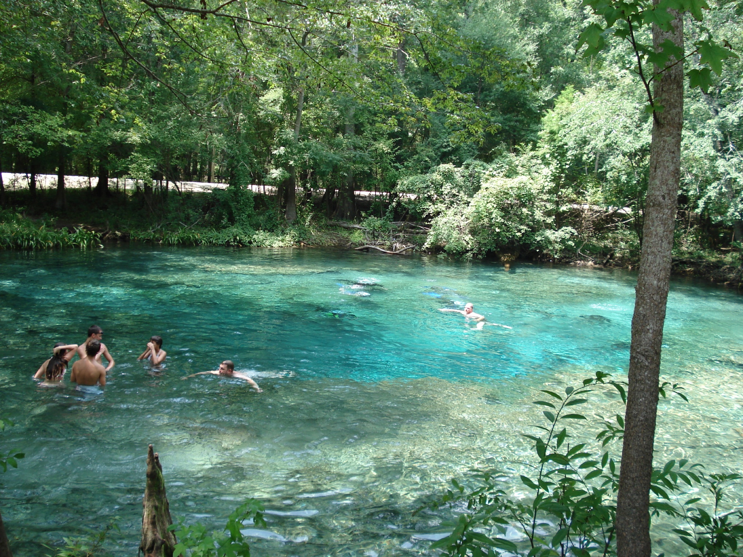 Aerial view of a turquoise Florida spring basin ringed by green hardwood forest with a clear sandy run flowing out toward a tea-colored river