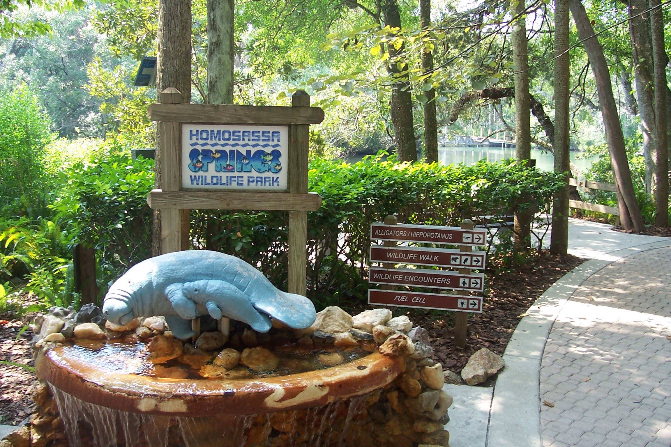 Scenic view of the clear spring waters and lush vegetation at Homosassa Springs Wildlife State Park, Citrus County, Florida