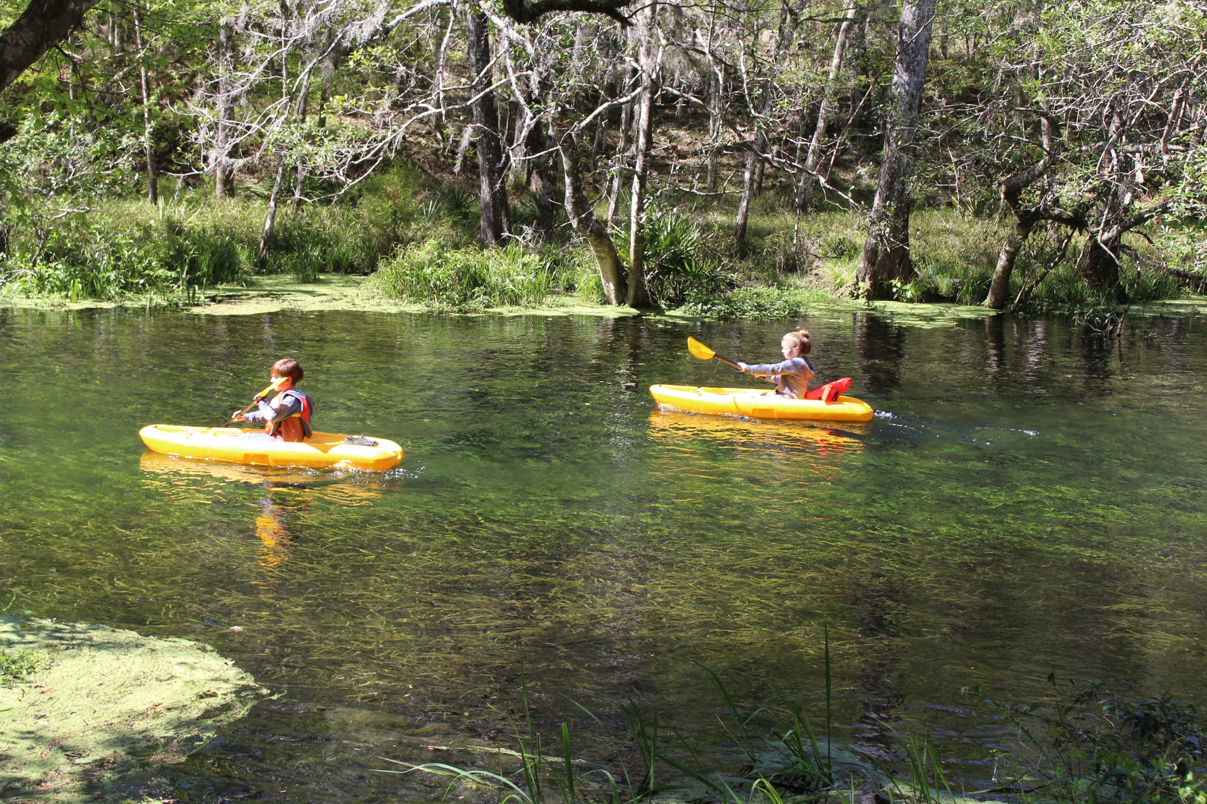 Children in life jackets paddling kayaks or canoes down the crystal-clear Ichetucknee River in north Florida