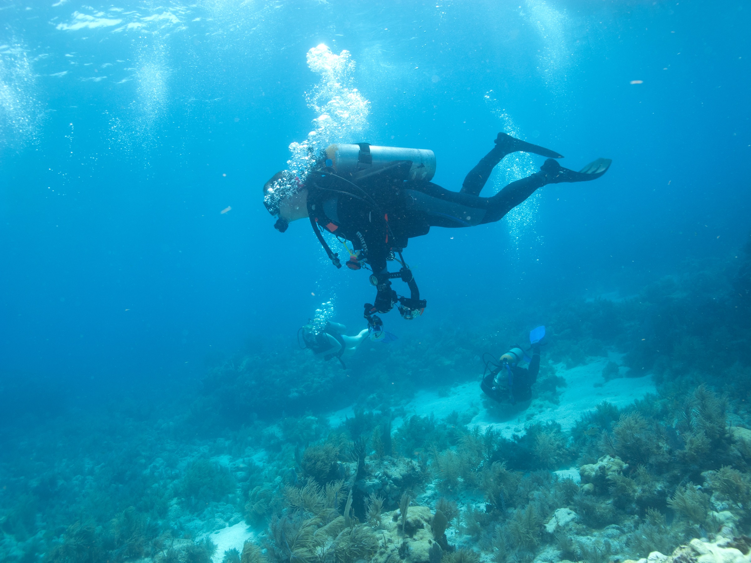 A scuba diver underwater at Key Largo, Florida, the primary dive destination in the Florida Keys reef system