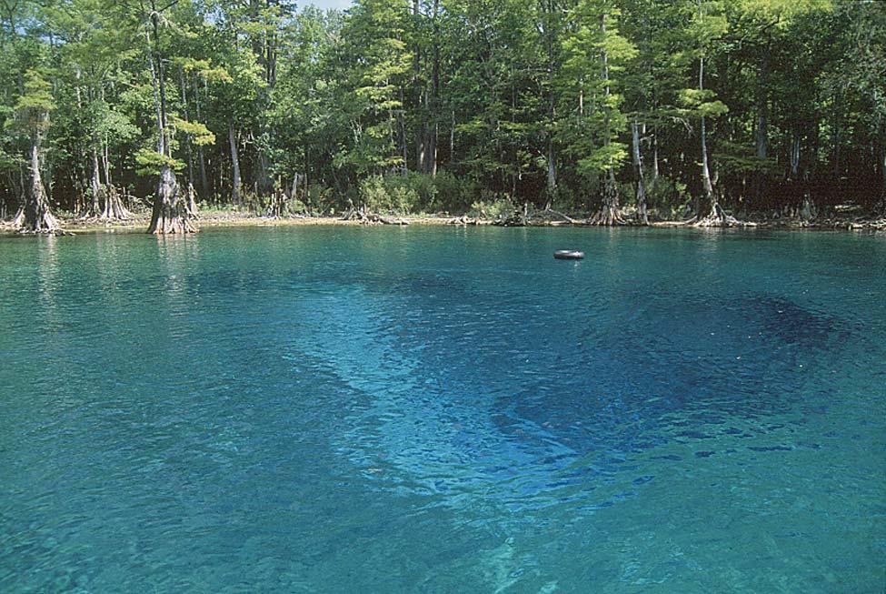 The clear blue basin of Morrison Springs ringed by cypress