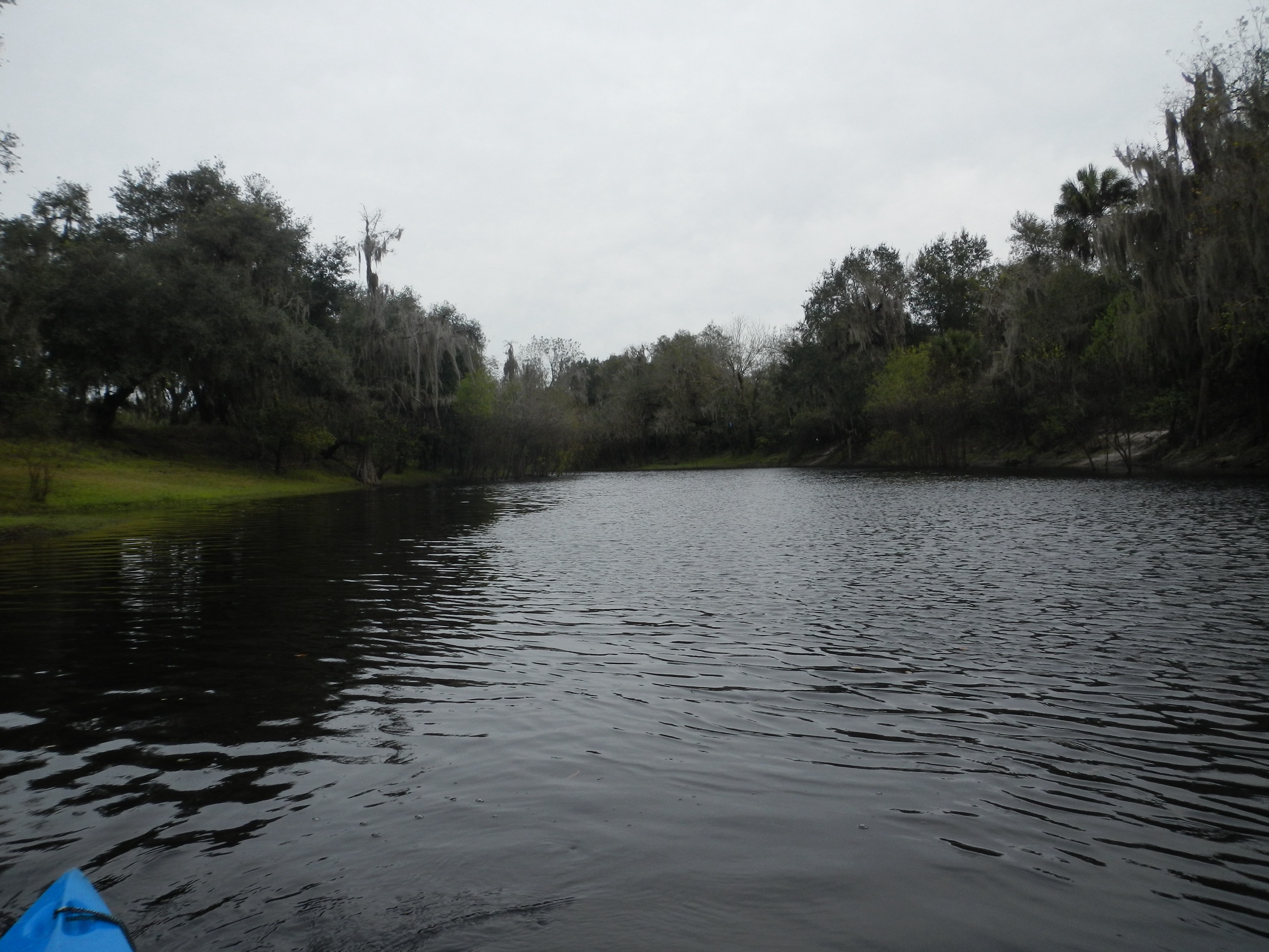 Kayakers paddling a wide, tree-lined bend of the Peace River in Arcadia, Florida on a sunny day