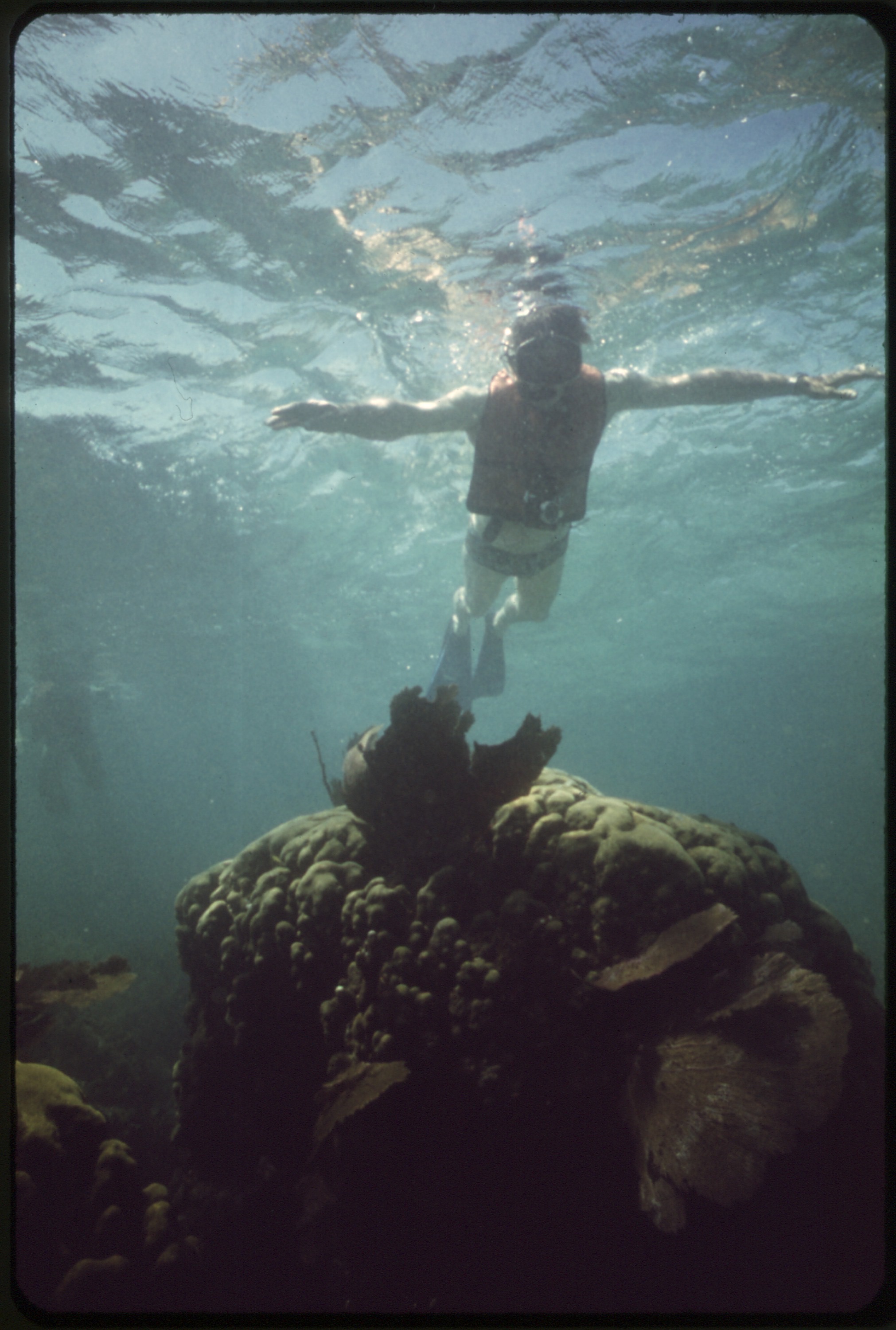 Underwater view of a snorkeler gliding over a large coral head in clear water at John Pennekamp Coral Reef State Park, Key Largo, Florida, wearing a dark top, fins, mask, and snorkel.