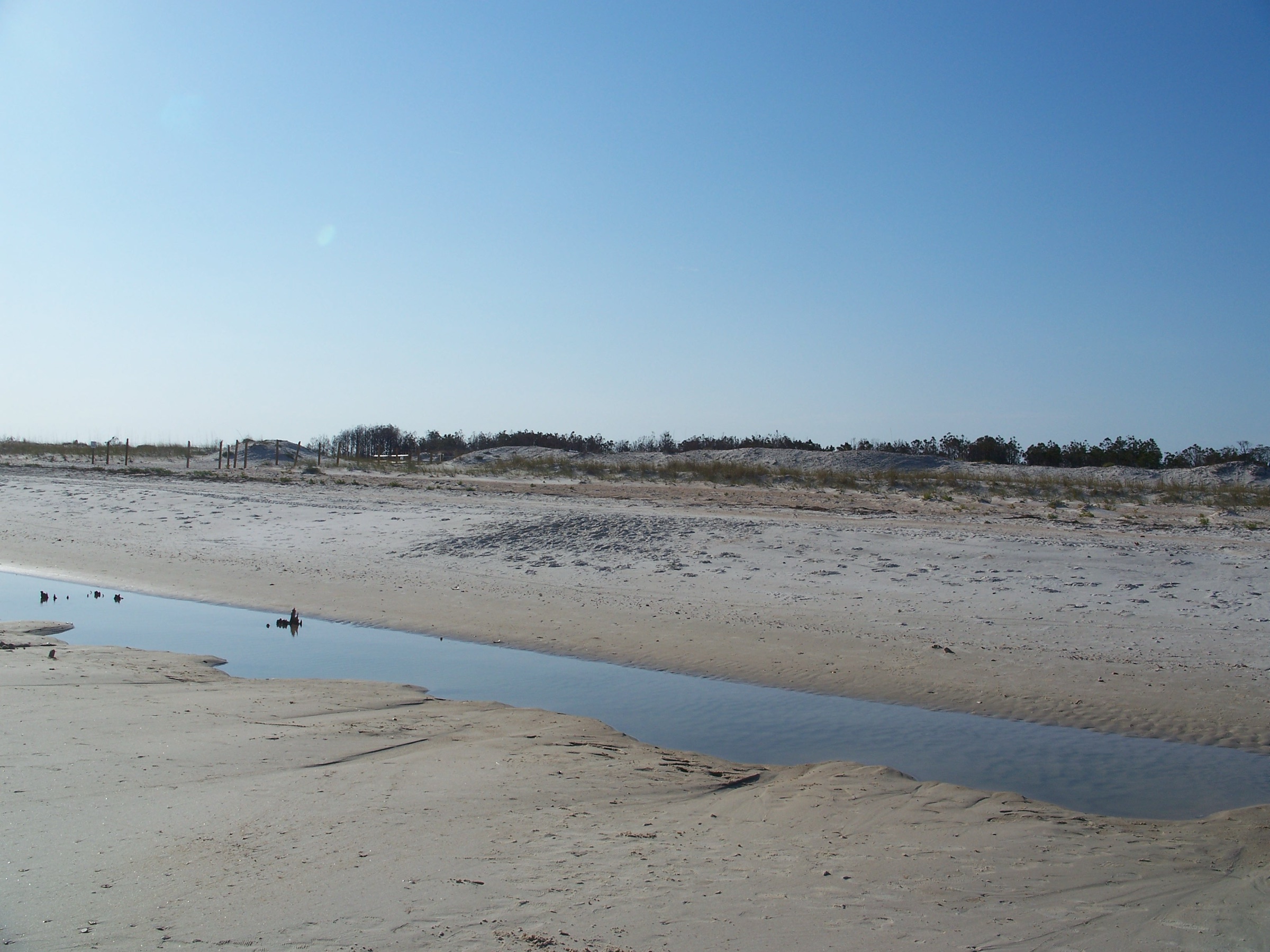 Undeveloped white-sand Gulf beach at St. George Island State Park, Florida panhandle