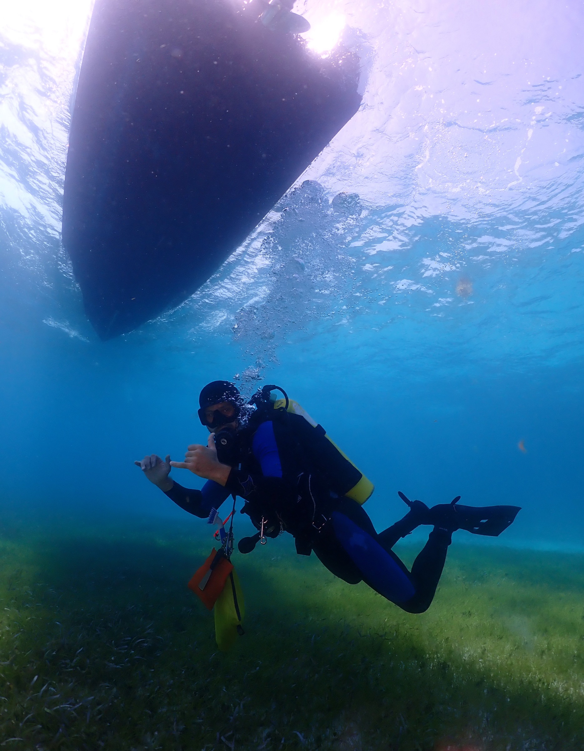 A scuba diver glides through shallow seagrass beds in the Florida Keys, viewed from below in clear blue water
