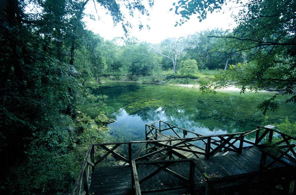 The clear blue-green pool of Troy Spring on the Suwannee River
